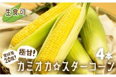 《2025年 先行予約》まるでフルーツ！特別栽培 トウモロコシ 激甘！極旨のスーパースイート系トウモロコシ「カミオカスターコーン」4本 令和7年産 まるで フルーツ 甘い コーン とうもろこし 野菜 果物 夏 BBQ 焼肉 贈答 ギフト 10000円