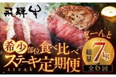 《厳選 希少部位》飛騨牛 食べ比べ 贅沢堪能 ステーキ定期便 厳選 飛騨牛 6回お届け 定期便 6回 半年 定期 牛肉 肉 和牛 国産 焼肉 ステーキ シャトーブリアン ヒレ サイコロステーキ 贅沢 大容量 お楽しみ 6か月 6ヶ月［Q2999］1000000円 100万円 ぽっきり