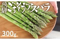【先行予約 令和7年 2025年発送】《サイズ不揃い》飛騨の甘～い柔らかアスパラガスアスパラガス 300g 