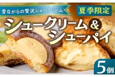 《季節限定》5個セット シュークリーム シューパイ シューアイス 選べる 4個  デザート スイーツ 洋菓子 小分け 冷凍 パティスリーマツキ 夏季限定 期間限定 アイス 飛騨 お試し [Q2995]