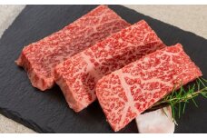 飛騨牛 赤身ステーキ 3枚 (100g × 3枚 ) ステーキ ステーキ肉 牛肉 和牛 肉 赤身肉 国産牛 和牛 ステーキ ブランド牛 飛騨牛 牛肉 肉 高級 人気 おすすめ 飛騨市 赤身 国産 冷凍発送