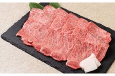 飛騨牛 カルビ 焼肉用 500g 牛肉 和牛 肉 国産 熨斗掛け バーベキュー 焼き肉 カルビ A4 A5 化粧箱 ギフト 熨斗 人気 時間指定 冷凍便 冷凍発送