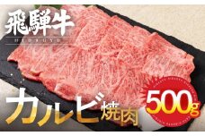 飛騨牛 カルビ 焼肉用 500g 牛肉 和牛 肉 国産 熨斗掛け バーベキュー 焼き肉 カルビ A4 A5 化粧箱 ギフト 熨斗 人気 時間指定 冷凍便 冷凍発送