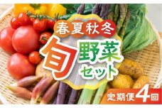【4回定期便】飛騨の四季のお野菜 旬定期便　4回お届け 産直市から直送！ 飛騨産 旬の新鮮 野菜セット (5～6品)   