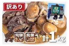 【訳あり】【11月上旬〜3月下旬】菌床しいたけ・生きくらげセット 計1kg　政木農園 肉厚 椎茸 シイタケ キクラゲ 飛騨  簡易包装 syun183