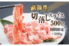 【期間限定 特別内容量】《訳あり》飛騨牛 切り落とし スライス 600g 焼肉 牛肉 肉 不揃い わけあり ワケアリ 部位おまかせ 焼き肉 黒毛和牛 和牛 国産 すき焼き 簡易包装 個包装
