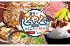 どやな飛騨市 定期便 Aコース いろいろ お届け 6ヵ月 6回   牛肉 肉 焼肉 飛騨牛 地鶏  チーズ ピザ アスパラガス 定期便 お楽しみ 6回 半年 [Q3015] 100000円 10万円  飛騨市