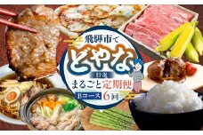 どやな飛騨市 定期便 Bコース いろいろ お届け 6ヵ月 6回   牛肉 肉 焼肉 飛騨牛 地鶏 米 新米 チーズ ピザ とうもろこし 定期便 お楽しみ 6回 半年 [Q3015] 100000円 10万円  飛騨市