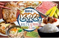 どやな飛騨市 定期便 Cコース いろいろ お届け 12ヵ月 12回   牛肉 肉 焼肉 飛騨牛 地鶏 米 新米 チーズ ピザ とうもろこし アスパラガス ピザ 定期便 お楽しみ 12回 1年 [Q3015] 200000円 20万円  飛騨市