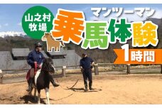 マンツーマン 乗馬体験 岐阜 山之村牧場 子ども 子供 大人 乗馬体験 1時間 屋外 27000円
