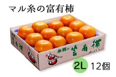 [先行予約／令和7年産]【柿の王様】マル糸の富有柿 2Lサイズ (12個入) 令和7年11月下旬より発送予定 [mt188] 
