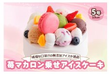 アイスクリームケーキ 苺マカロン乗せ｜ロワゼット デザート アイス ケーキ 乳化剤 安定剤 保存料 人工甘味料 などが不使用 無添加 デザート おやつ プレゼント 誕生日 祝い  [0262]