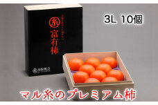 【先行予約】令和7年産《柿の王様》マル糸 の 富有柿 プレミアム 3L サイズ ( 10個入 ) 11月より発送予定 [mt191]｜かき 富有柿 ふゆうがき フルーツ カキ 果物 くだもの 産地直送 岐阜県 本巣市 