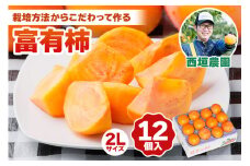 [先行予約／令和7年産]《柿の王様》西垣農園の富有柿 2Lサイズ (12個入)【栽培方法からこだわって作る良質の富有柿】[mt018]  柿 かき フルーツ 果物 くだもの