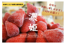 岐阜県ブランド「濃姫」冷凍いちご 1kg いちご 苺 自宅用 家庭用 冷凍 つみつみいちごファーム 簡易梱包 8000円  [0292]