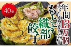 あっさり塩味、織部焼リスペクトの「もとす織部餃子 40個」ぎょうざ ギョウザ 冷凍 あたためるだけ お取り寄せ グルメ グルメ [mt1580] 8000円 