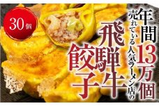 飛騨牛 のリッチな風味が口中に広がる！「飛騨牛餃子 30個」 餃子 ぎょうざ ギョウザ 飛騨牛 牛肉 肉 和牛 国産 冷凍 お取り寄せ [mt1582] 10000円 1万円 