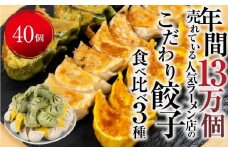 人気餃子3種を詰め合わせ！ぎふ夢餃子ミックス 40個」 冷凍餃子 食べ比べ メガ盛り 業務用 ぎょうざ ギョウザ 冷凍 グルメ お取り寄せ グルメ 冷凍食品 国産素材 ジューシー もちもち [mt1581] 8000円 
