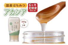 [6ヶ月定期便]《国産はちみつ》アカシア (300g×3本) [1033]