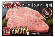 [6ヶ月定期便][A5等級]飛騨牛サーロインステーキ用 600g(300g×2枚) [0342]
