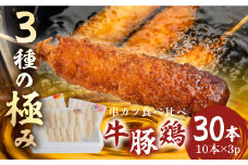 [三幸] 串かつ 3種の極み 30本 ( 10本 × 3 パック ) 小分け 牛肉 赤身 豚肉 ヒレ 鶏肉 胸 ムネ 肉 老舗 揚げ くし おつまみ ビールのお供  冷凍 ジューシー お取り寄せ 手作り 串カツ 串揚げ 本巣市   [0470]