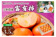 【令和7年産】 先行予約 《柿の王様》大野農園の富有柿ご家庭用2L・Lサイズ (3.5kg)【糖度が高く リッチな味わいの富有柿】11月中旬～12月中旬発送予定 [0630] 