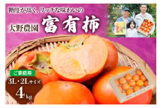 【令和7年産】 先行予約 《柿の王様》大野農園の富有柿ご家庭用3L・2Lサイズ (4kg)【糖度が高く リッチな味わいの富有柿】11月中旬～12月中旬発送予定 [1043] 