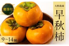 【令和7年産】[先行予約]《早い甘柿》大野農園の早秋柿 (12～14個入) 10月上旬～10月下旬発送予定 [mt1557]