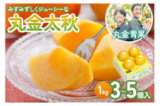 [先行予約] 令和7年産 黄色くても食べ頃！丸金太秋 1kg(3～5個入り)【一口噛めば果汁がしたたるジューシーな甘柿】10月中旬より順次発送 [mt1109]｜かき 太秋 フルーツ 岐阜県 本巣市