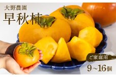[先行予約] 令和7年産《早い甘柿》大野農園の 早秋柿 ご家庭用 (9～16個入) 10月上旬～10月下旬発送予定 訳あり わけあり ワケアリ かき 早秋 フルーツ  カキ 果物 くだもの