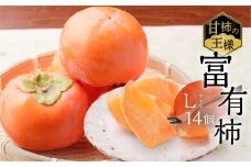 [先行予約／令和7年産]《柿の王様》加藤果樹園の富有柿 Lサイズ 14個入り 11月下旬～12月上旬発送予定 [mt025]  柿 かき カキ フルーツ 果物 くだもの