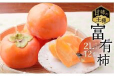 [先行予約／令和7年産]《柿の王様》加藤果樹園の富有柿 2Lサイズ 12個入り 11月下旬～12月上旬発送予定 [mt022] 柿 かき フルーツ 果物 くだもの