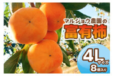 マルジョウ農園の富有柿4Lサイズ 8個入り [1383]