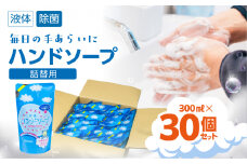 300ml ×30個 ハンドソープ 詰め換え セット 液体 手洗い 石鹸 せっけん キレイ 泡立ち 除菌 保湿 日本製 子ども 子供  台所 キッチン 日用品 送料無料 たっぷり まとめ買い ストック [生活応援]   新生活