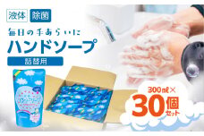 【9月期間限定CP実施中】300ml ×30個 ハンドソープ 詰め換え セット 液体 手洗い 石鹸 せっけん キレイ 泡立ち 除菌 保湿 日本製 子ども 子供  台所 キッチン 日用品 送料無料 たっぷり まとめ買い ストック [生活応援]   新生活