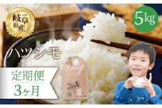 【 3回 定期便 】 ハツシモ 5kg × 3か月 米 こめ ごはん 白米 岐阜県産 本巣市 お米 精米 おにぎり 弁当 さっぱり 旨味 甘い 和食 寿司 岐阜県産 ヤマダライス 