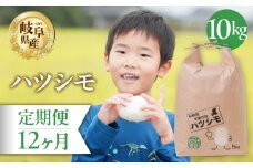 【 12回 定期便 】 ハツシモ 10kg × 12か月 米 こめ ごはん 白米 岐阜県産 本巣市 お米 精米 おにぎり 弁当 さっぱり 旨味 甘い 和食 寿司 岐阜県産 ヤマダライス