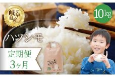 【 3回 定期便 】 ハツシモ 10kg × 3か月 米 こめ ごはん 白米 岐阜県産 本巣市 お米 精米 おにぎり 弁当 さっぱり 旨味 甘い 和食 寿司 岐阜県産 ヤマダライス 