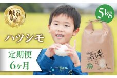 【 6回 定期便 】 ハツシモ 5kg × 6か月 米 こめ ごはん 白米 岐阜県産 本巣市 お米 精米 おにぎり 弁当 さっぱり 旨味 甘い 和食 寿司 岐阜県産 ヤマダライス 