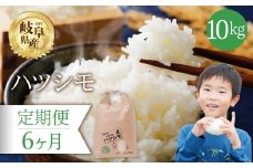 【 6回 定期便 】 ハツシモ 10kg × 6か月 米 こめ ごはん 白米 岐阜県産 本巣市 お米 精米 おにぎり 弁当 さっぱり 旨味 甘い 和食 寿司 岐阜県産 ヤマダライス 