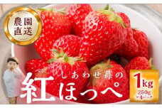 【2026年1月以降発送】 自宅用 いちご 紅ほっぺ 1kg (250g × 4p) [しあわせ苺] サイズ バラバラ 訳あり 訳アリ 農園直送 フルーツ 果物 苺 イチゴ 子ども 大人 人気 小分け 簡易梱包 家庭用 産地直送 先行予約 岐阜 期間限定 [mt524]