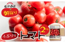 【2025年11月～発送】大容量 トマト 2kg 令和8年産 先行予約 先行受付 大玉トマト の 小ぶり サイズ おまかせ 不揃い 訳あり 訳アリ 野菜 岐阜県産 本巣市 朝採り 産地直送 新鮮 期間 数量限定 常温 ポットファクトリー 美味しい  7千円  7000円
