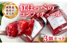 いちごのコンフィチュール×3個セット [mt195]
