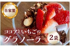 【2026年2月～発送】いちごとココアのグラノーラ2袋　ココア いちご 紅ほっぺ シリアル 朝食 ギフト｜フルーツ スイーツ 苺 family農園watanabe 牛乳 デザート おやつ イチゴ 子ども 大人 人気 甘い ビター 送料無料 岐阜県 本巣市  [mt290]