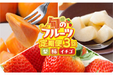 《定期便》本巣市フルーツ3回お届け定期便[mt225] 
