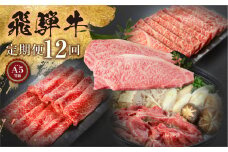 《定期便》[A5等級]飛騨牛12ヶ月定期便 小川ミート [mt302] 飛騨牛 定期 1年 毎月 肉 牛肉 和牛 黒毛和牛 赤身 霜降り 