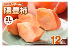 【先行予約】 令和7年産 高橋柿ファームの陽豊柿 2Lサイズ 12個入り《10月下旬より発送予定》
