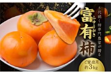 [先行予約／令和7年産]《訳あり》西垣農園の富有柿 約3kg 11月中旬から12月上旬にかけて発送予定 [mt491] ｜わけあり 家庭用規格 サイズおまかせ かき 富有柿 フルーツ カキ 果物 くだもの 産地直送 岐阜県 本巣市 お取り寄せ 10000円 1万円