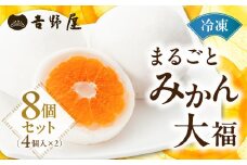 みかん 大福 4個 ×2 セット まるごと 和菓子 お菓子 菓子 おやつ カフェ スイーツ ご当地 お取り寄せ おみあげ お土産 冷凍 フルーツ 岐阜県 本巣 プレゼント ギフト 日時指定 可 [mt501]  