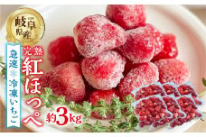 【2026年5月より発送】《 訳あり 》 冷凍いちご 紅ほっぺ 3kg (500g × 6p) 簡易梱包 サイズ 不揃い のため 訳あり 訳アリ フルーツ 果物 苺 いちご イチゴ アイス ヨーグルト 苺 family農園watanabe 子ども 小分け 家庭用 国産 産地直送 岐阜県 本巣市 2万 20000円 [mt1506] 